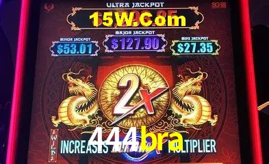 444bra Salvador - Statistics