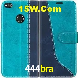 Login Seguro 444bra