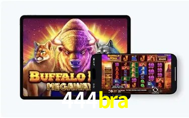 Benefícios da Conta 444bra